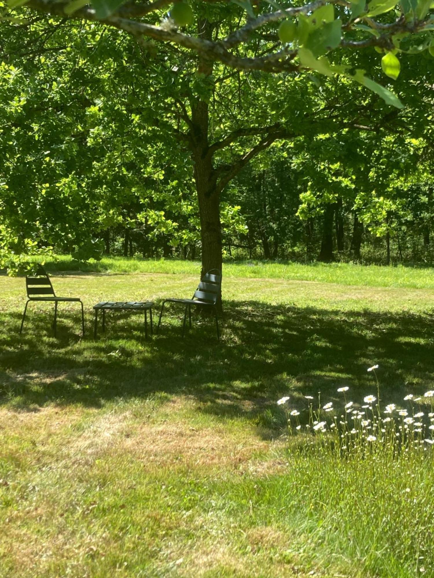 Les Bois De Ravel Chambres D'Hotes Exterior foto